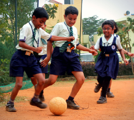 mlzs-Muzaffarnagar -play